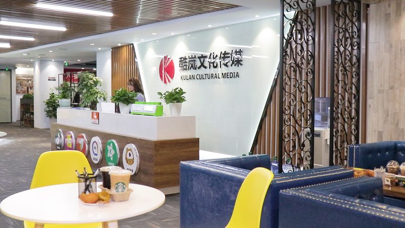 品牌策划方案：解码其优缺点，助力企业精准决策