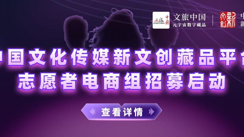 政府汇报宣传片制作：如何打造高性价比方案